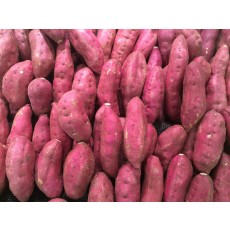 고구마말랭이 10kg